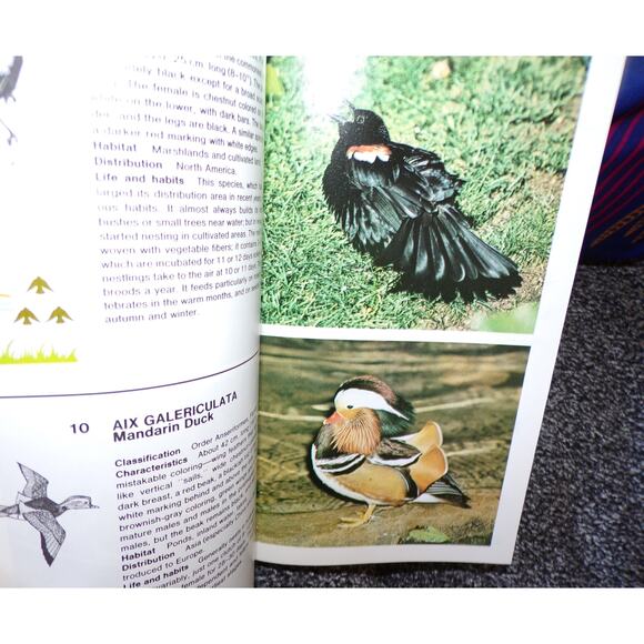 Simon & Shuster's Guide To Birds book 500 full color photos Nature Guide Series - Picture 4 of 6